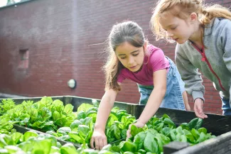 Twee leerlingen werken buiten in de moestuin op school.